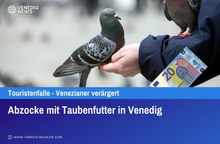 Abzocke mit Taubenfutter in Venedig